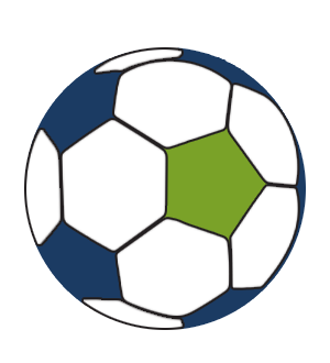 syneris User Meeting Fussball blau gruen